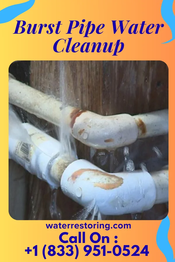 Burst Pipe Water Cleanup in Chatham, VA