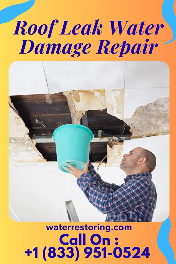 Roof Leak Water Damage Repair in Chatham, VA