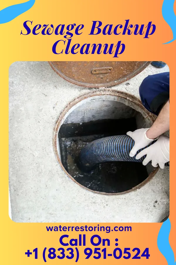 Sewage Backup Cleanup in Chatham, VA