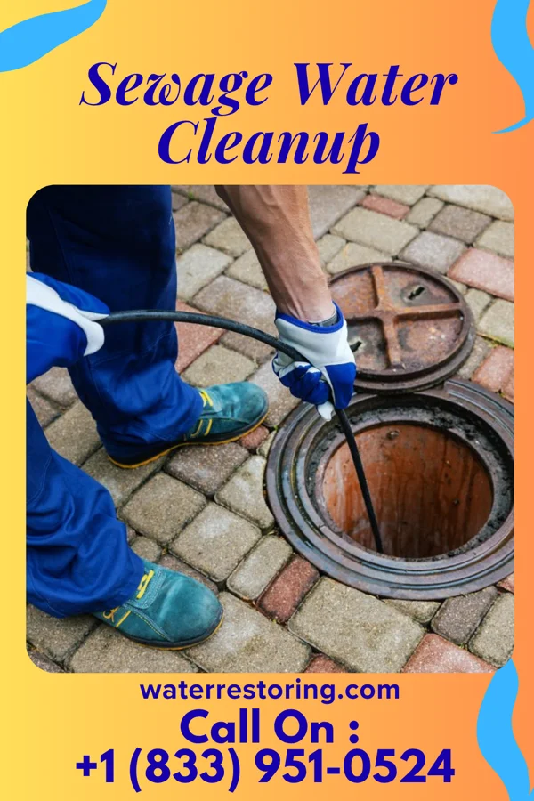Sewage Water Cleanup in Chatham, VA